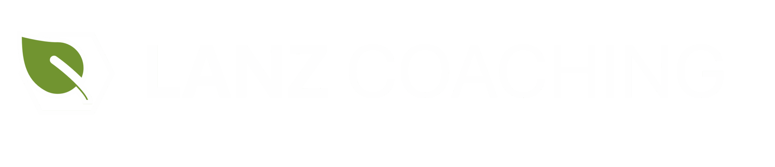 Lanz Lebenlagen Coaching